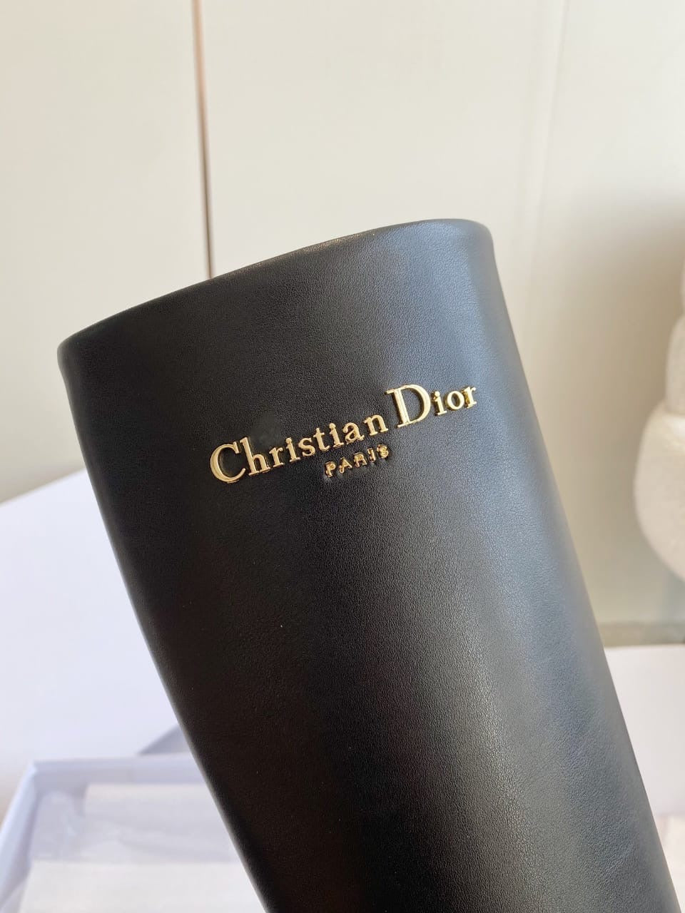 Botte Dior